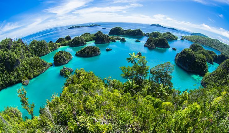7 Fakta-Fakta Menarik Tentang Kekayaan Alam Indonesia yang Perlu Kamu Ketahui