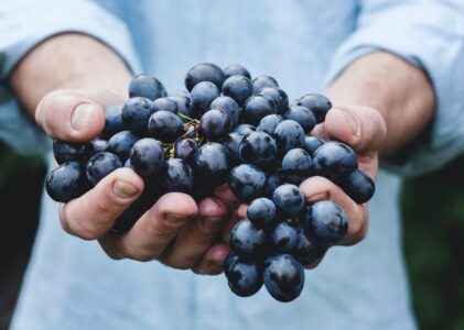 Fakta Unik Tentang Anggur: Buah Kecil dengan Manfaat Besar